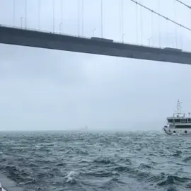 Videolarımı götürüb paylaşanlar halal xoşuvuz amma, videonu paylaşanda kimse yorum yazanda, video öz videomu deyib cavab vermiyin yorumları oxuyuram😘 #kesfetteyiz #kesfet #tutdaala🥴🌹 