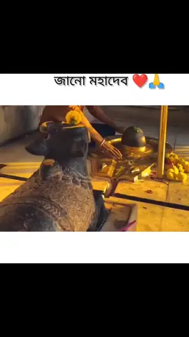 জানো মহাদেব যার মুখে হাসি বেশি তার জীবনে কষ্টও বেশি ! যারা অন্যকে ঠকাতে ভয় পায় তারা নিজেরাই বারে বারে ঠকে যায় 🥀😅💔#reels #হর_হর_মহাদেব @🦋🪔সনাতনী ক্যাপশন 🪔🦋 @👑🦋𝚂𝚑𝚒𝚔𝚘𝚗ツ🦋👑 @🔱শশ্মান মালিক🔱 @💞সনাতনী ভিডিও 💞 @Maya🌸 