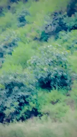 #khanu #❤️_____🌸__ #❤️🌸 @🇵🇰👑 ᎻᎯرꂦꂦن KHaɳØ🌙🇹🇷 @RAخMAT خان🌿 @AصiF🫀🤍 