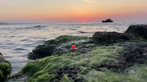 •••♡ #video #foryoupage #viral #viral #tiktok 