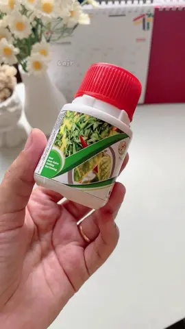 Auto beli mumpung harganya belum naik 😊 #pupukcabai #pupukorganik #obatcabaikeritingdaun #pupuktanaman #tanamancabai 