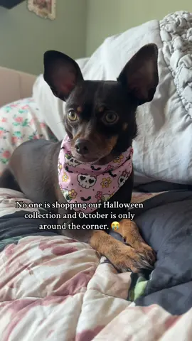 Shop our Spooky collection! We appreciate it! ♥️♥️♥️ #halloween #dogmom #dogbandana #dogsoftiktok #dogsvideo 