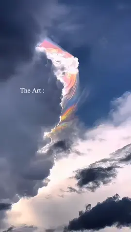 The art 🖼️ #######fffffffffffyyyyyyyyyyyypppppppppoppppppppp 