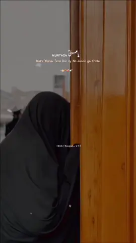 تیرے در کے سوا میرے مولاؑ میرا کوئی ٹھکانہ نہیں ہے....... 🤲🏻😢❤️‍🩹🥀🕊️ @♡𝑈ᴹم𝑖 𝐹ᴬᴵرᵞ♡ 