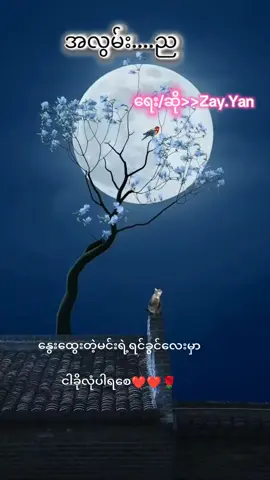 #အလွမ်းည#သီချင်းချစ်သူများအတွတ်☺️🎼🎵🎶 #foryoupage #fypシ゚viral🖤tiktok 
