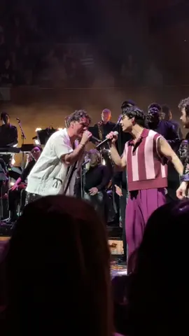 One night as the BONUS JONAS #jonasbrothers #cianducrot #illbewaiting 