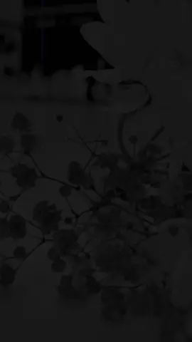 Ameen🫶🫀🫠🤲 #1milionaudition #easthetic #foryou #poetrystatus #foryoupage   @TikTok 