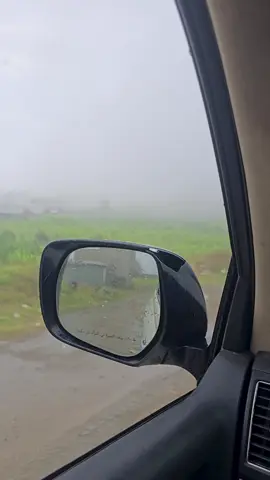 اجواء يافع تجيب العافيه اجواء ضباب ومطر ووهبوي ع الاجواء.. لكن خلك كذا منفي بليا بلاد يستاهل الضيم من هو تارك بلاده ..@اليافعي  #يافع #يافع_الارض_الطيبه #foryou #اليمن #يافع 