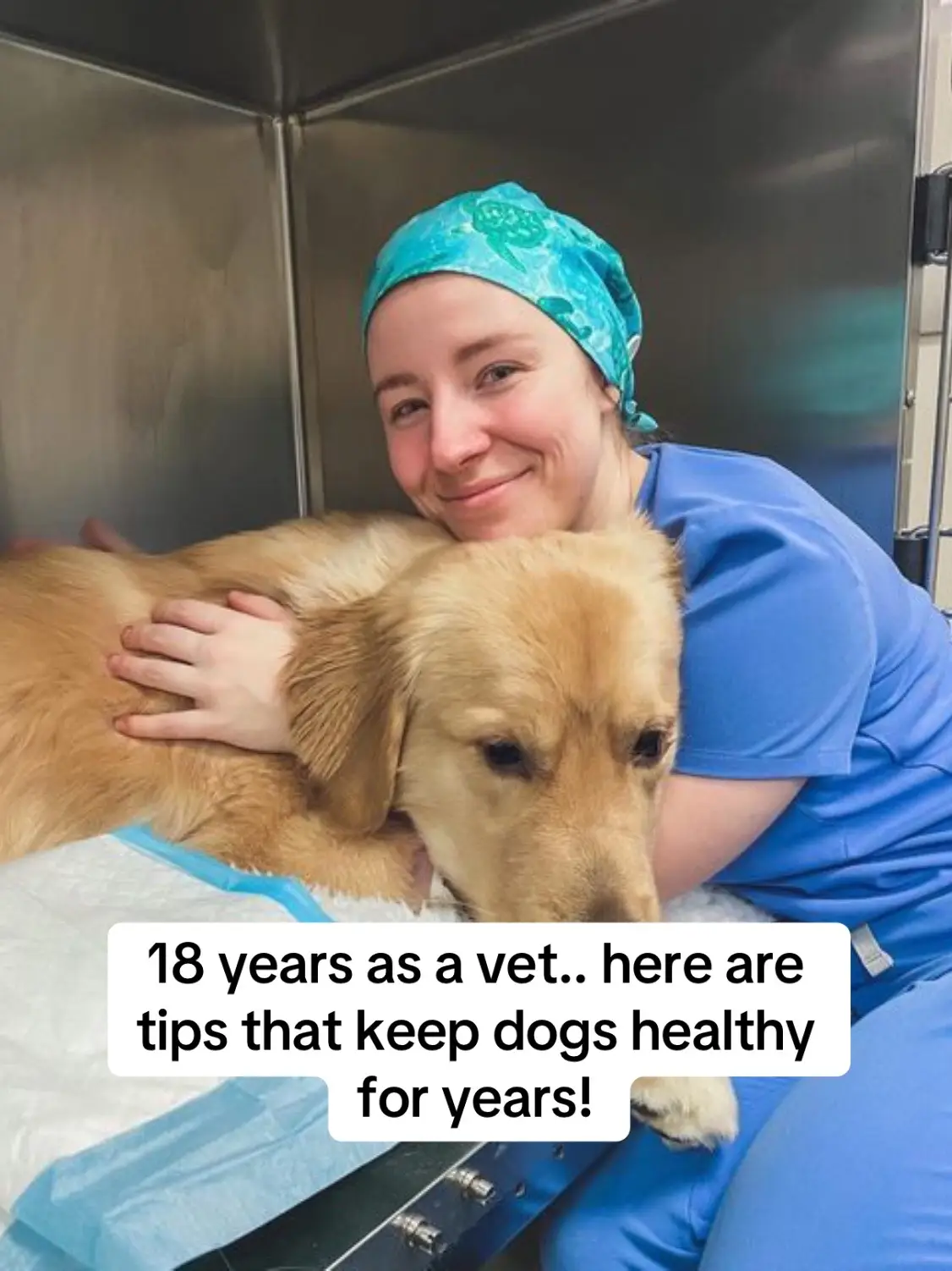 Do you want more of these? Or even better, do you have some secret dog health tips that works? Let me know in the comments! #dogsoftiktok #PetsOfTikTok #doghealth #dogtips 