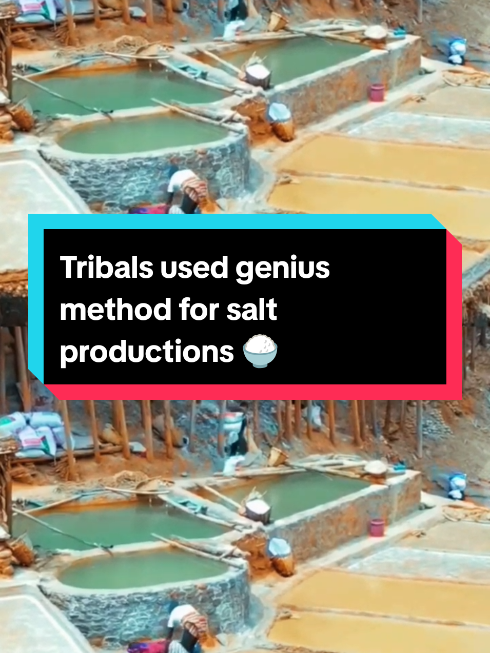 Tribals used genius method for salt productions 🍚👀 #factaboutall #sciencefacts #randomfacts #interestingfacts #sciencetips 