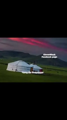 🤍
