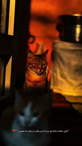 في حزن وسعئ المدئ .! 💔 #تصويري📸 #لطميات #