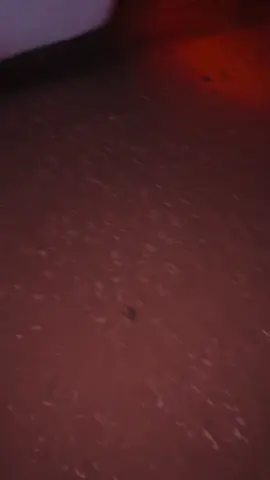 #نيجر_اغديس_ليبيا_جزائر🇱🇾🇩🇿🇳🇪❤ #مشاالله_تبارك_الله_اذكروالله_🔕 