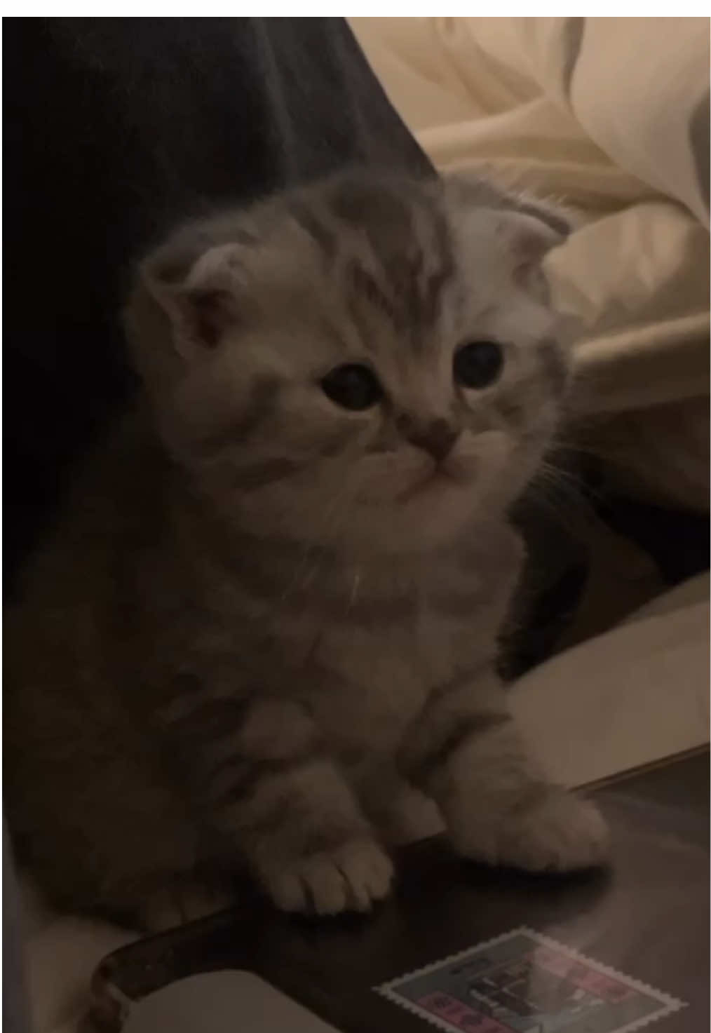 الوجه باكله 