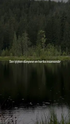 Ne hale getirdim demezler…