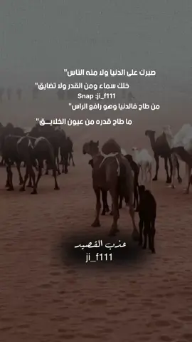 #عذب_القصيد #tiktokarab #مشاهدات #محمود_الجبلي #تصميم_فيديوهات🎶🎤🎬 