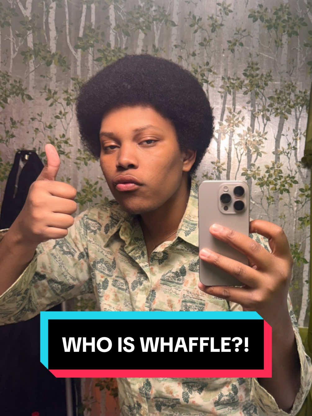 Hi I am Whaffle