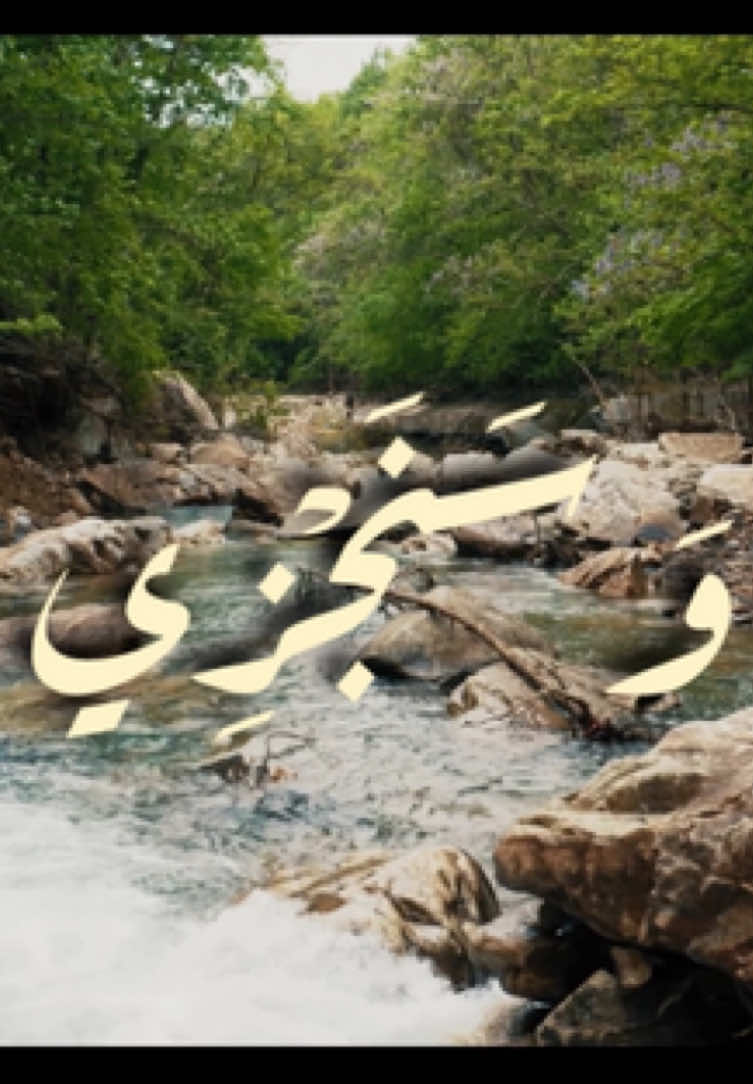 سبحان اللّهُ العظيم، سبحان اللهُ وبحمده. القارئ || صالح الأنصاري  السورة || آل عمران (وَمَا كَانَ لِنَفْسِ أَنْ تَمُوتَ إِلَّا بِإِذْنِ اللَّهَ كِتَابًا مُؤَجَّلَا وَمَن يُرِدْ ثَوَابَ الدُّنْيَا نَؤْتِهِ مِنْهَا وَمَن يُرِدْ ثَوَابَ الْأخِرَةِ نُؤْتِهِ مِنْهَا وَمَن يُرِدْ ثَوَابَ الْأخِرَةِ نُؤْتِهِ مِنْهَا وَسَنَجْزِي الشَّاكِرِينَ) [آل عمران: 145] التفسير الميسر : لن يموت أحد إلّا بإذن اللّٰه وقدره وحتى يستوفي المدة التي قدَّرها اللّٰه له، كتب اللّٰه ذلك كتابًا مؤقتًا، لا يتقدم على أجله ولا يتأخر. ومن يطلب بعمله عَرَض الدنيا, نعطه ما قسمناه له من رزق، ولا حظَّ له في الآخرة، ومن يطلب بعمله الجزاء من اللّٰه في الآخرة نمنحه ما طلبه، ونؤته جزاءه وافرًا مع ما لَه في الدنيا من رزق مقسوم، فهذا قد شَكَرَنا بطاعته وجهاده، وسنجزي الشاكرين خيرًا. ——————————————- #قرآن #foryoupage #viral #explore 