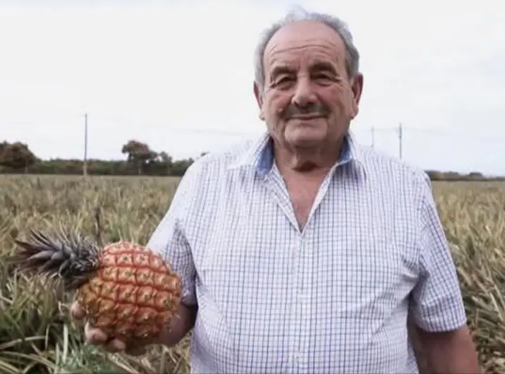 El trabajo e  ilusión de Manolo fueron fundamentales en el desarrollo agrícola del  Valle del Golfo, Con la introducción del cultivo de la piña tropical, que hoy sigue siendo una seña de identidad de nuestra isla de EL Hierro. Un trabajador incansable y una persona que supo dejar huella en cada rincón de nuestra isla . #dep #elhierro #flypシ #paratiiiiiiiiiiiiiiiiiiiiiiiiiiiiiii 
