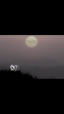 #90ዎቹ🇪🇹🇪🇹🇪🇹🇪🇹🇪🇹🇪🇹 #ethiopian_tik_tok #ethiopian_tik_tok🇪🇹🇪🇹🇪🇹🇪🇹 #ሜሪአርምዴ 