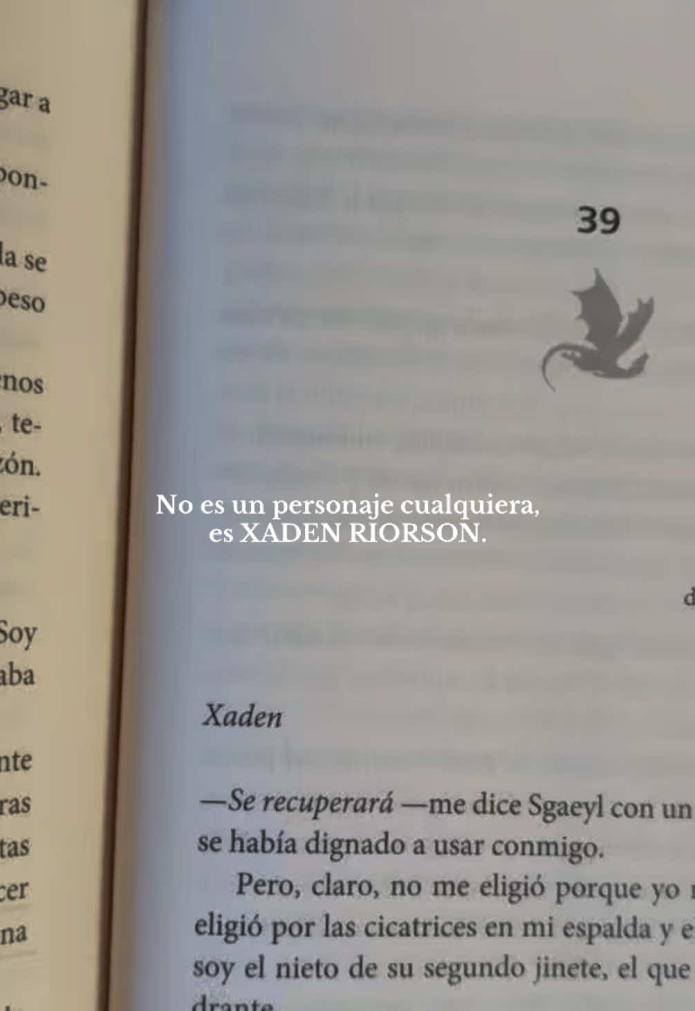 Me lo acabo de terminar, no voy a superar este libro nunca 😔🙏🏻 #booktokespañol #alasdesangre #xadenriorson #foryou #books <3