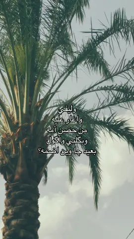 #اكسبلور #هواجيس #لايك #fyp #explore 