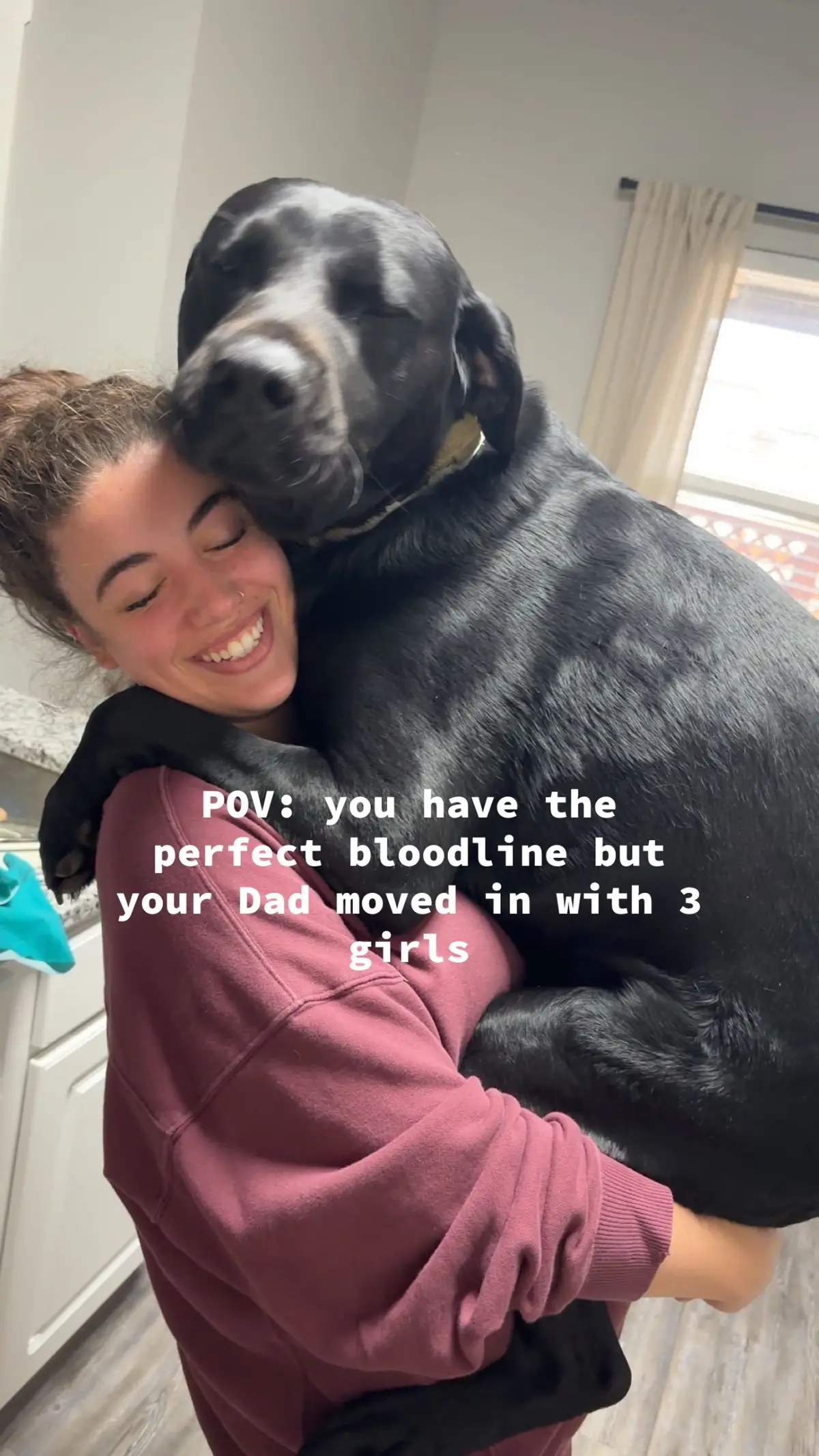 Hims a good boy 🥹 #lab #duck #newmom #dogsoftiktok #dog 