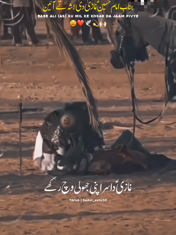 Janabe Imam Hussain As Farmdin❤️‍🩹🕊️ . . . . . . . . . . #shiastatus #aliwaly  #aliunwaliullah #unfreezmyaccount #Islamic  