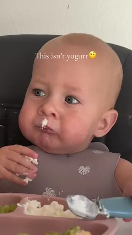 Cottage cheese will do but I still prefer yogurt mom😅 #blw #babyledweaning #babyfood #babieseating #baby 
