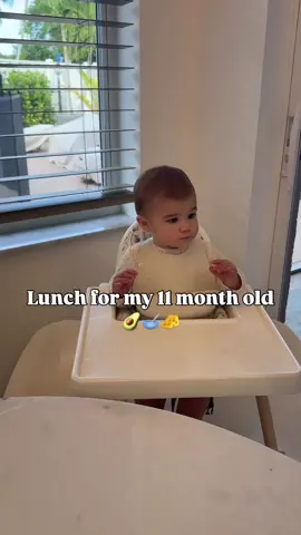 Today’s BLW Lunch 👇 ✅ Acorn Squash Quinoa (high iron)  ✅ Mozzarella cheese  ✅ Avocado  If you’re done scrolling social media for recipes on what to serve your baby,  get our best-selling Printed Cookbook for 101+ easy dietitian-approved recipes for your baby 6+ months #101beforeone #babyledweaning #blw 