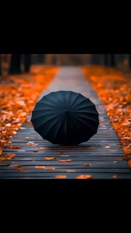 #islamic_video #foryoupage #fyp 