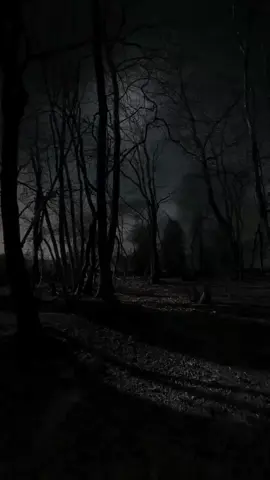 #قران_كريم #أحمد_العجمي #سورة_الذاريات 