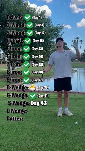 Day 43 of making a par with EVERY golf club on this par 3 over the water!! #golf #golftok