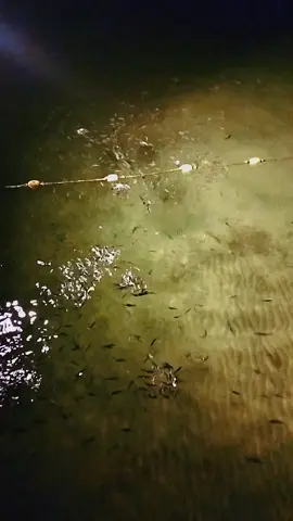 كما تدين تدان  #fyp #الحمدلله_دائماً_وابداً #يارب❤️ 