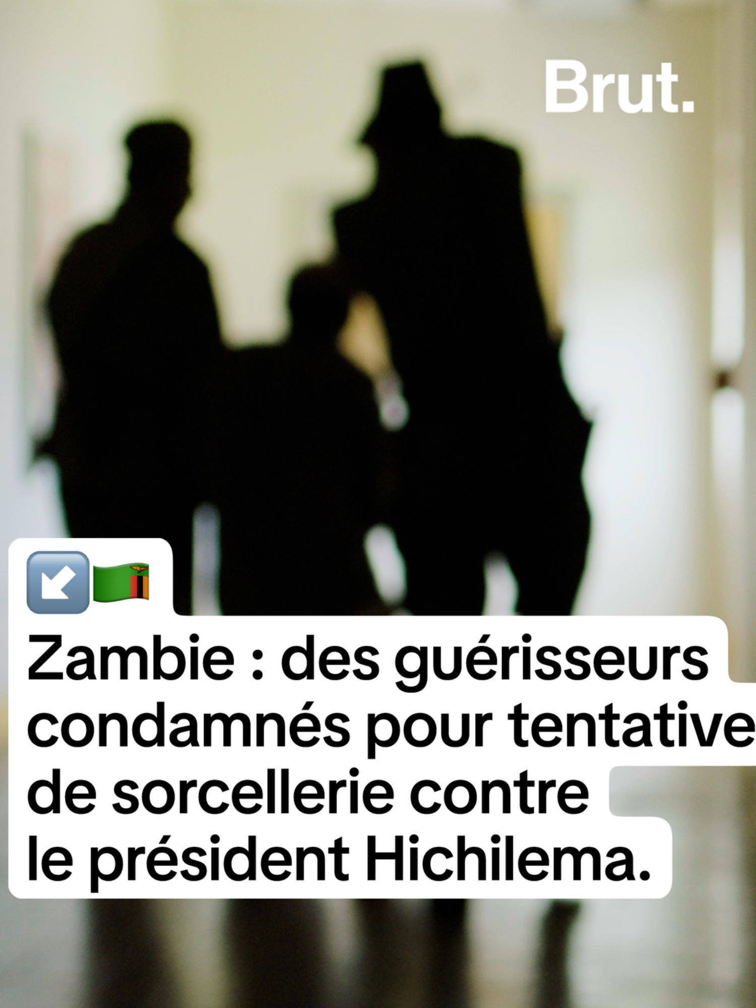 🇿🇲En Zambie, deux guérisseurs traditionnels ont été reconnus coupables par le tribunal d’avoir tenté d’utiliser la sorcellerie contre le président Hichilema. Voici ce que l'on sait. #afrique #zambiantiktok🇿🇲 #actualités