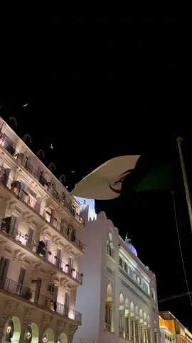 #algerie🇩🇿 #dz #algeria #الجزائر🇩🇿 #الشعب_الصيني_ماله_حل😂😂 