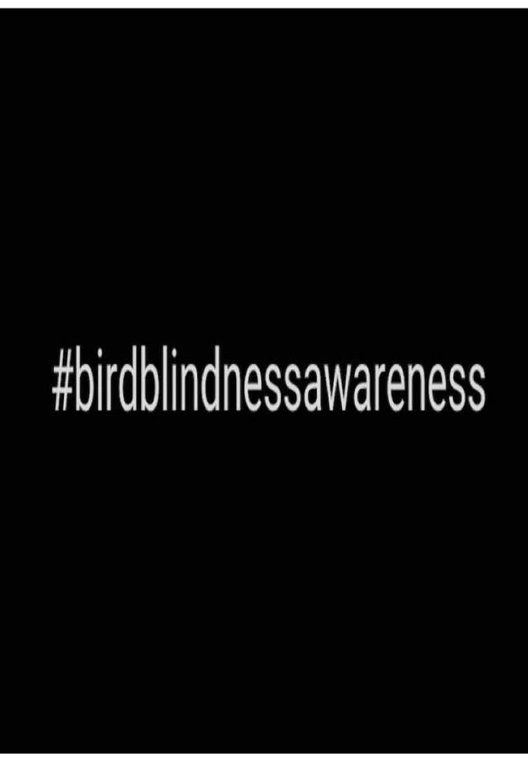bird blindness is no joke. #birdblindness #peacemaker #dcu #abcxyz #niche 