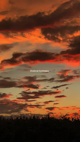 Si te gustan los atardeceres este video es para ti 🌅 #sunset #atardecer 