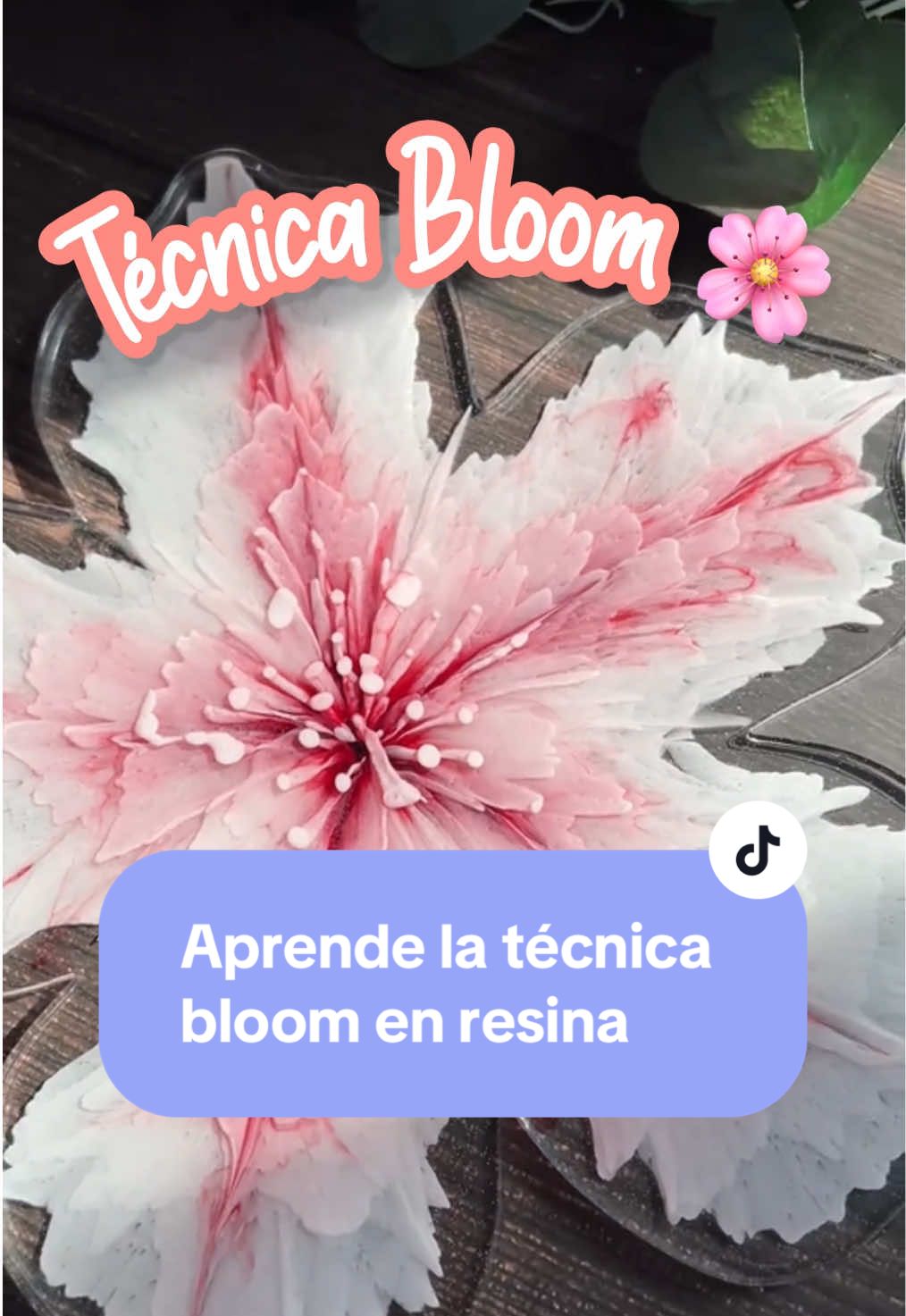 Aprende a hacer el efecto Bloom en resina🌸. Escríbeme si te quieres convertir en una experta en resina! #resin #resinart #resina #flowers  #creatorsearchinsights 