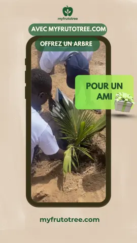 Un Cadeau Spécial 🎁 voici une idée 💡  Pour un Ami, une Ecole, une Famille En ton nom ou celui d’un proche, Myfrutotree.com s’occupe de planter ton arbre 🌴  #trees #ecology #arbre #tree #plantation   