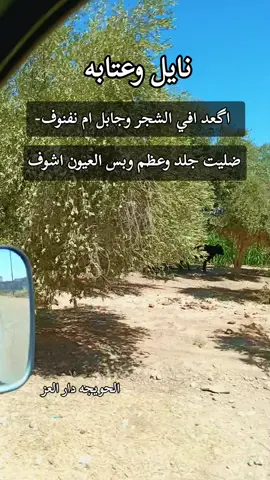 نايل وعتابه -اگعد افي الشجر وجابل ام نفنوف#الحويجه_دار_العز #اكسبلور #الشعب_الصيني_ماله_حل😂😂 #العراق #foryou 