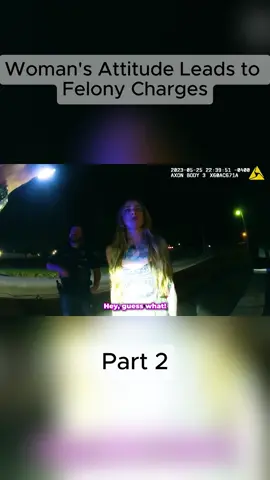 Part 2 #police #bodycam #fyp #risebear #news 