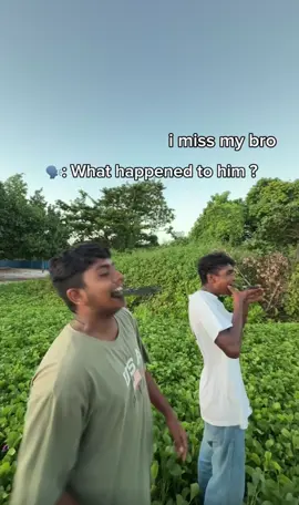 😆🐔🤣 #i8szdw #fyp #trnding #fypシ゚viral 