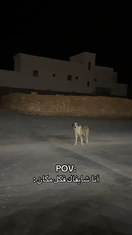 #انا_شايفاك_فكل_مكان #fypシ゚ #fyp 