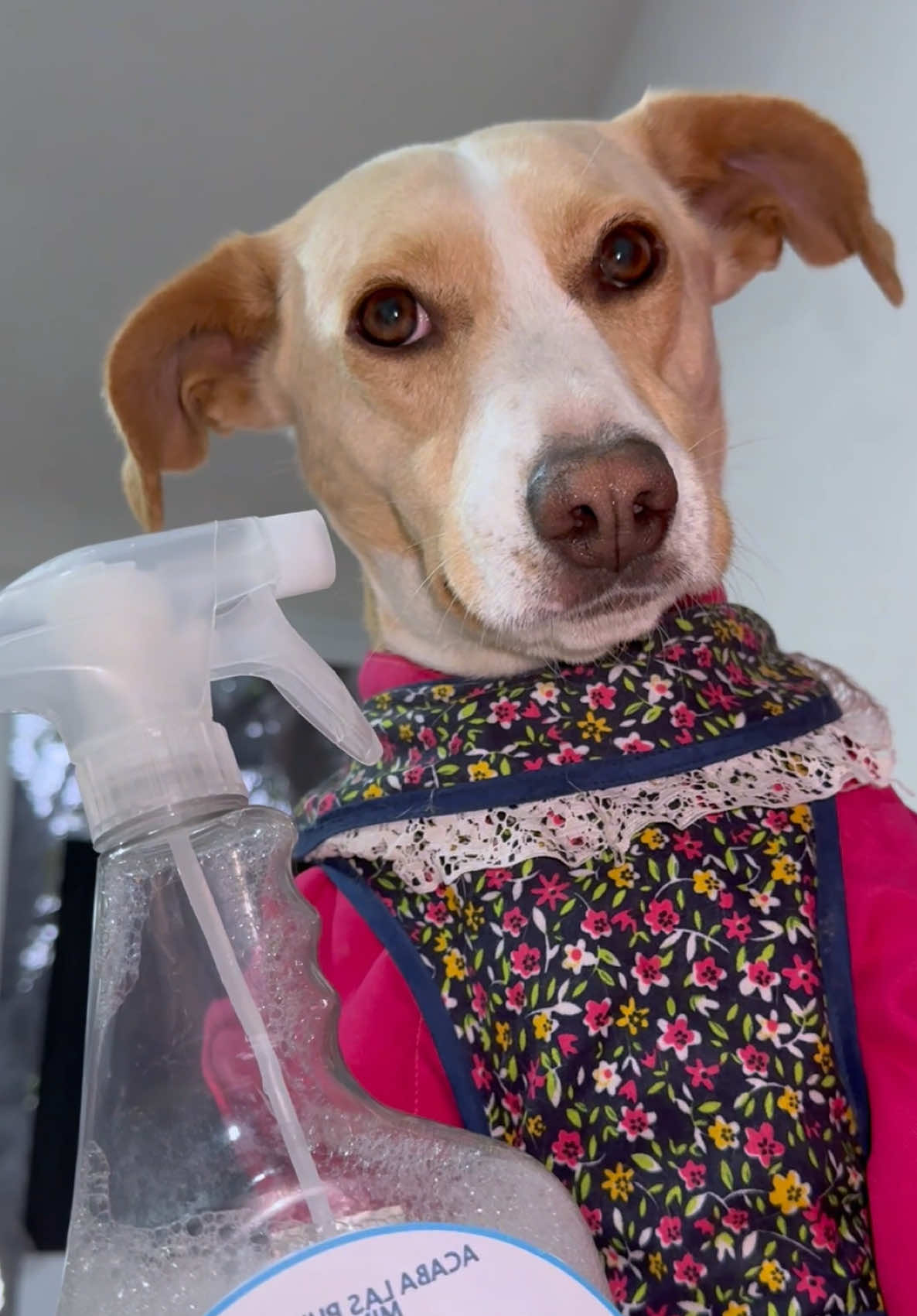 El hijo de emnedio 😁