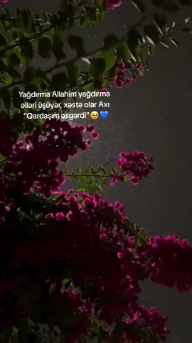 Allahım sən özün bütün əsgərlərimizi qoru sən onlara güc qüvvət ver. Bu soyuq havada biz evimizdə üşüyürük onlara soyuq havada yardım et. Səbr dözüm ver. İnşAllah hər biri sağ salamat əsgərliyini bitirib gəlsin🤲🏻❤️#keşfet #fypシ #fy #fyp #fypシ 