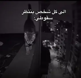 #مساء_الحب_والسعاده_متابعيني💕 #يشرفني_وجودكم_معي_شكراً_لدعمكم🥰😍 