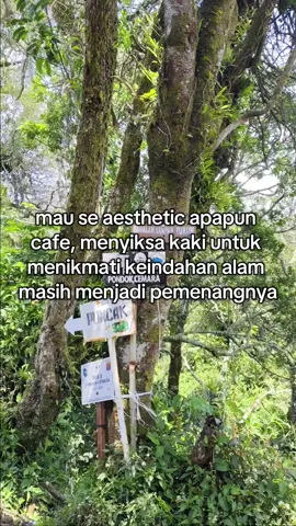 😎🤙#pendakigunung #pendakigunungindonesia #Hiking 