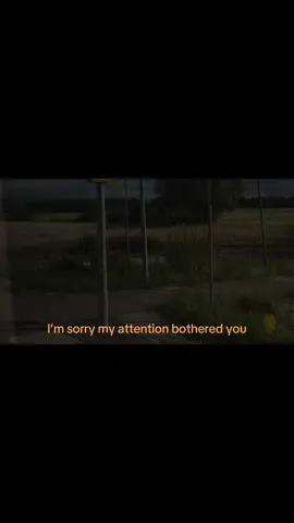 I’m sorry for loving you, because my love only bothered you… #arabicpoetry #voiceofbaghdad #حب #الزمن_الجميل #nasib 