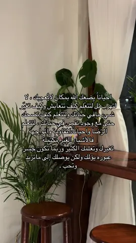 #foryou #fyp #explore #اكسبلورexplore 